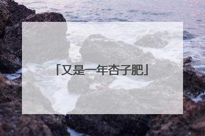 又是一年杏子肥