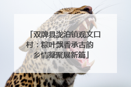 双牌县泷泊镇观文口村：粽叶飘香承古韵 乡情凝聚展新篇