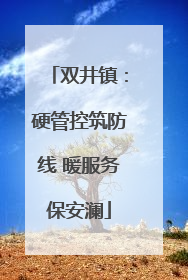 双井镇：硬管控筑防线 暖服务保安澜