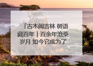 古木阅吉林 树语藏百年｜百余年沧桑岁月 如今它成为了“镇园之宝”