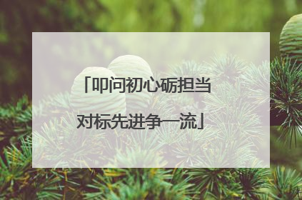 叩问初心砺担当 对标先进争一流