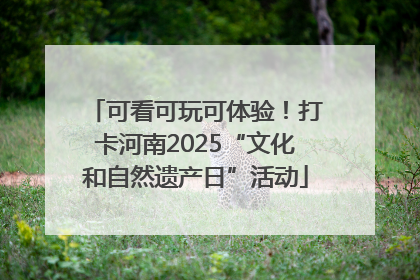 可看可玩可体验！打卡河南2025“文化和自然遗产日”活动
