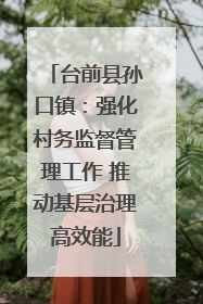 台前县孙口镇：强化村务监督管理工作 推动基层治理高效能
