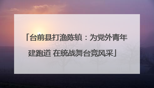 台前县打渔陈镇：为党外青年建跑道 在统战舞台竞风采