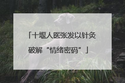 十堰人医张发以针灸破解“情绪密码”