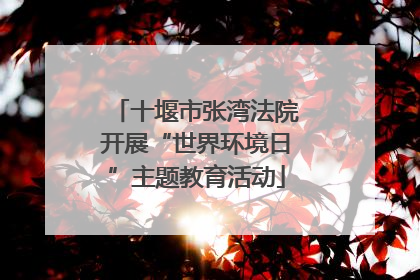 十堰市张湾法院开展“世界环境日”主题教育活动