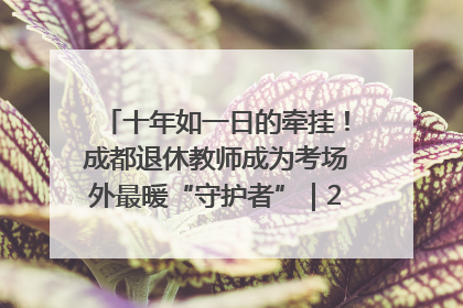 十年如一日的牵挂！成都退休教师成为考场外最暖“守护者”｜2025四川高考