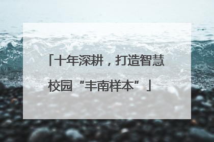 十年深耕，打造智慧校园“丰南样本”