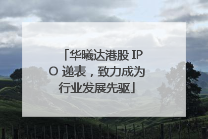 华曦达港股 IPO 递表，致力成为行业发展先驱