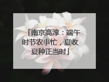 南京高淳：端午时节农事忙，夏收夏种正当时