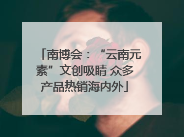 南博会：“云南元素”文创吸睛 众多产品热销海内外