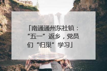南通通州东社镇：“五一”返乡，党员们“归巢”学习