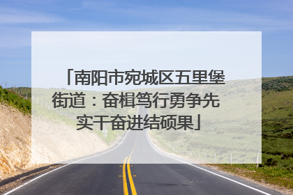 南阳市宛城区五里堡街道：奋楫笃行勇争先 实干奋进结硕果