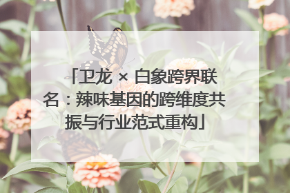 卫龙 × 白象跨界联名：辣味基因的跨维度共振与行业范式重构