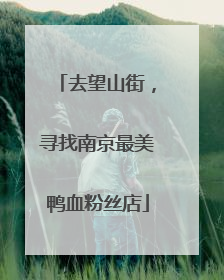 去望山街，寻找南京最美鸭血粉丝店
