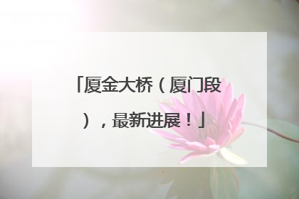 厦金大桥（厦门段），最新进展！