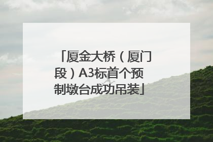 厦金大桥（厦门段）A3标首个预制墩台成功吊装