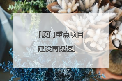 厦门重点项目建设再提速