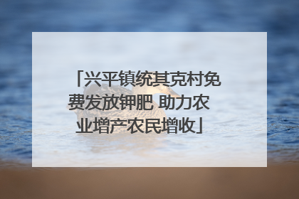 兴平镇统其克村免费发放钾肥 助力农业增产农民增收