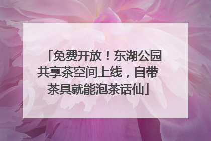 免费开放！东湖公园共享茶空间上线，自带茶具就能泡茶话仙