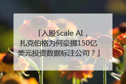 入股Scale AI，扎克伯格为何豪掷150亿美元投资数据标注公司？