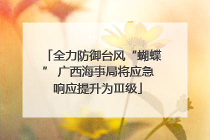 全力防御台风“蝴蝶” 广西海事局将应急响应提升为Ⅲ级