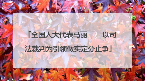 全国人大代表马丽——以司法裁判为引领做实定分止争