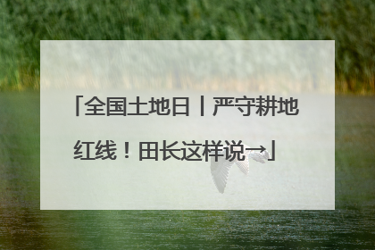 全国土地日丨严守耕地红线！田长这样说→