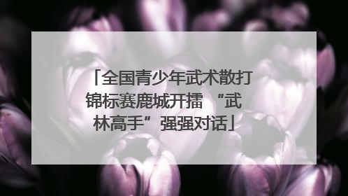 全国青少年武术散打锦标赛鹿城开擂 “武林高手”强强对话