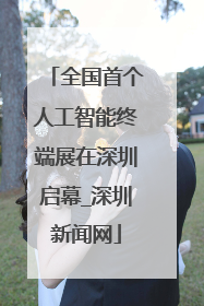 全国首个人工智能终端展在深圳启幕_深圳新闻网
