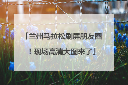 兰州马拉松刷屏朋友圈！现场高清大图来了