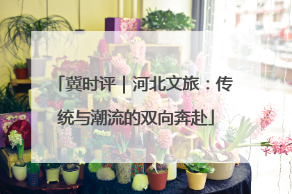 冀时评｜河北文旅：传统与潮流的双向奔赴