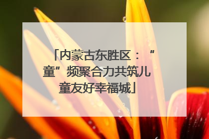 内蒙古东胜区：“童”频聚合力共筑儿童友好幸福城