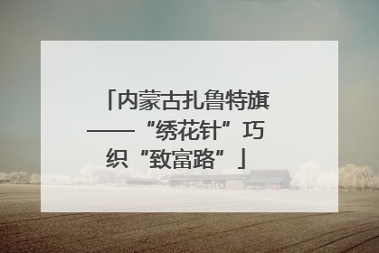 内蒙古扎鲁特旗——“绣花针”巧织“致富路”