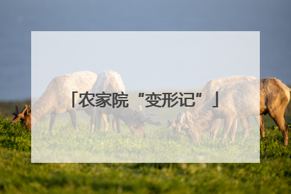 农家院“变形记”