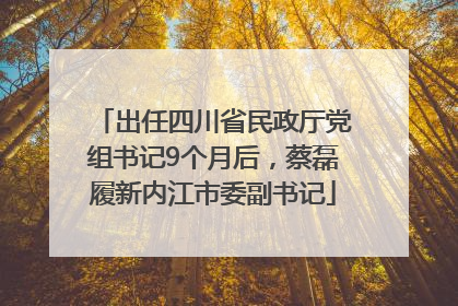 出任四川省民政厅党组书记9个月后，蔡磊履新内江市委副书记