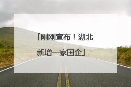 刚刚宣布！湖北新增一家国企
