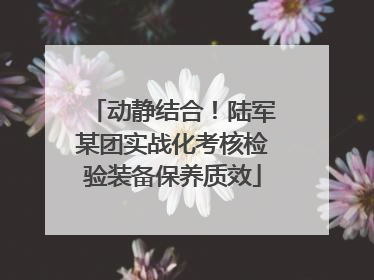 动静结合！陆军某团实战化考核检验装备保养质效
