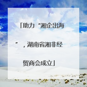 助力“湘企出海”，湖南省湘非经贸商会成立
