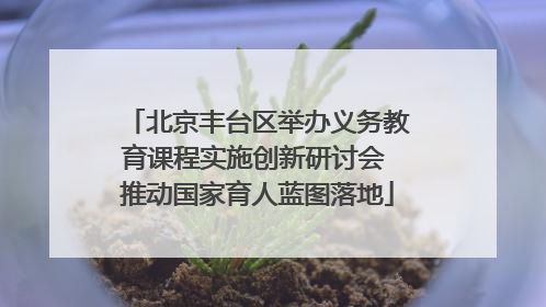 北京丰台区举办义务教育课程实施创新研讨会 推动国家育人蓝图落地