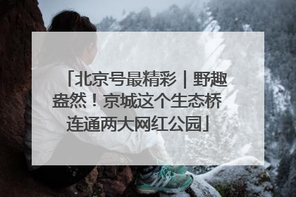 北京号最精彩｜野趣盎然！京城这个生态桥连通两大网红公园