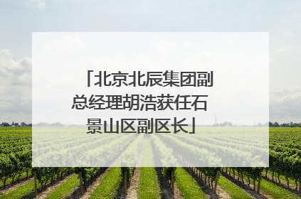 北京北辰集团副总经理胡浩获任石景山区副区长