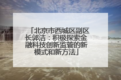 北京市西城区副区长郭洁：积极探索金融科技创新监管的新模式和新方法