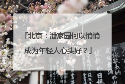 北京：潘家园何以悄悄成为年轻人心头好？