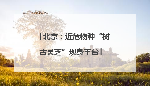 北京：近危物种“树舌灵芝”现身丰台