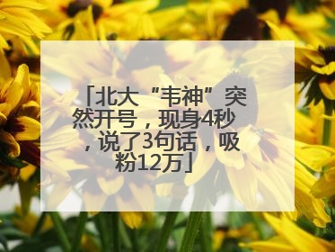 北大“韦神”突然开号，现身4秒，说了3句话，吸粉12万