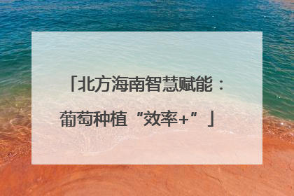 北方海南智慧赋能：葡萄种植“效率+”
