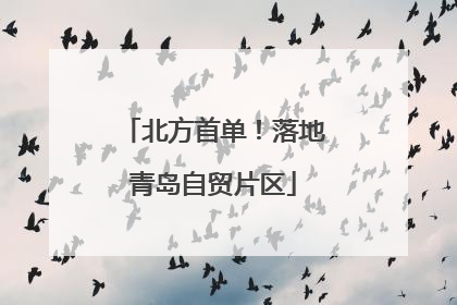 北方首单！落地青岛自贸片区