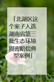 北湖区这个案子入选湖南省第三批生态环境损害赔偿典型案例