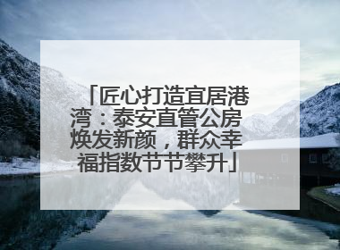 匠心打造宜居港湾：泰安直管公房焕发新颜，群众幸福指数节节攀升